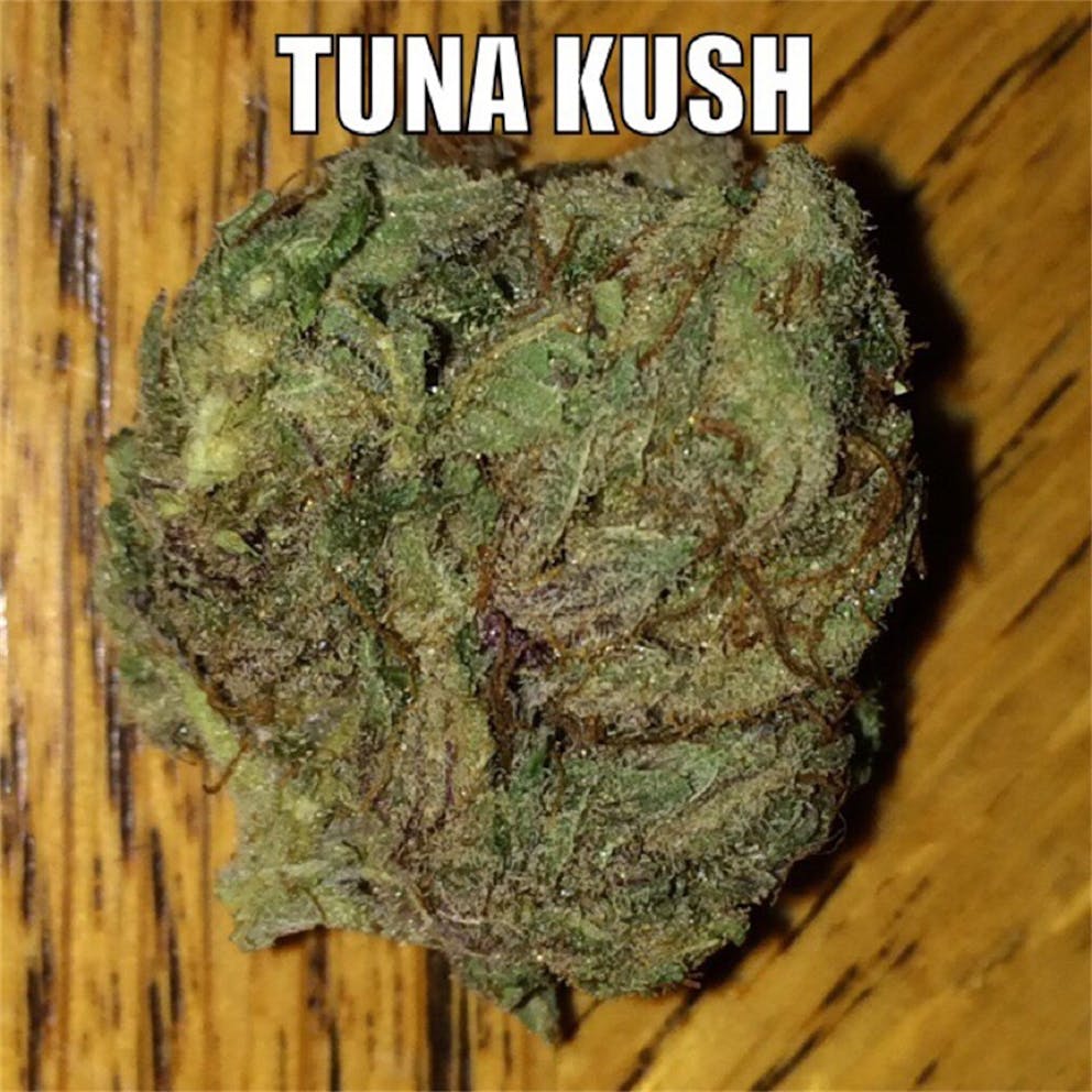 Photos of Tuna Kush Weed Strain Buds Leafly