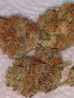 User uploaded image of King Tut