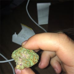 User uploaded image of Tutti Frutti