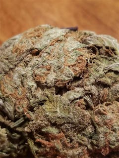 User uploaded image of Tutti Frutti