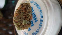 User uploaded image of Tutti Frutti