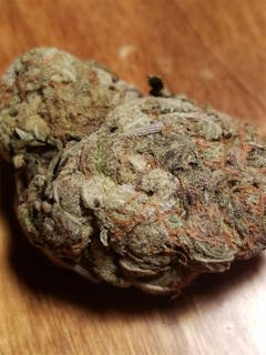 User uploaded image of Tutti Frutti