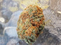 User uploaded image of Tutti Frutti