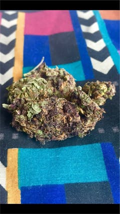 User uploaded image of Tutti Frutti