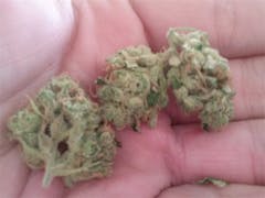 User uploaded image of Twista