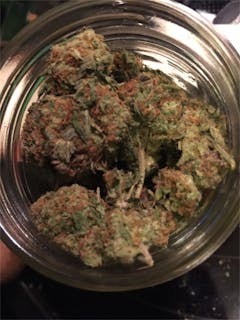 User uploaded image of Twisted Citrus