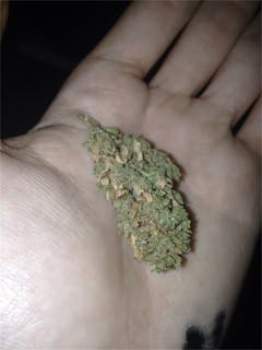 User uploaded image of Tyson