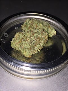 User uploaded image of U2 Kush