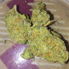 User uploaded image of U2 Kush