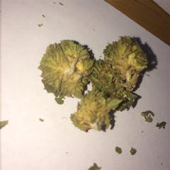 User uploaded image of U2 Kush