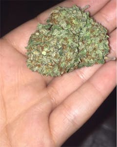 User uploaded image of U2 Kush