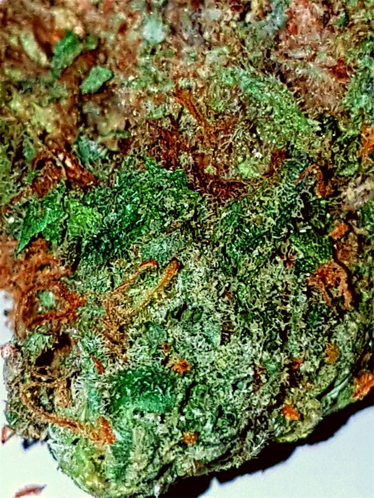 UK Cheese aka Cognitiva Weed Strain Information Leafly