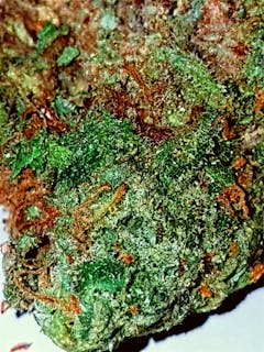 User uploaded image of UK Cheese