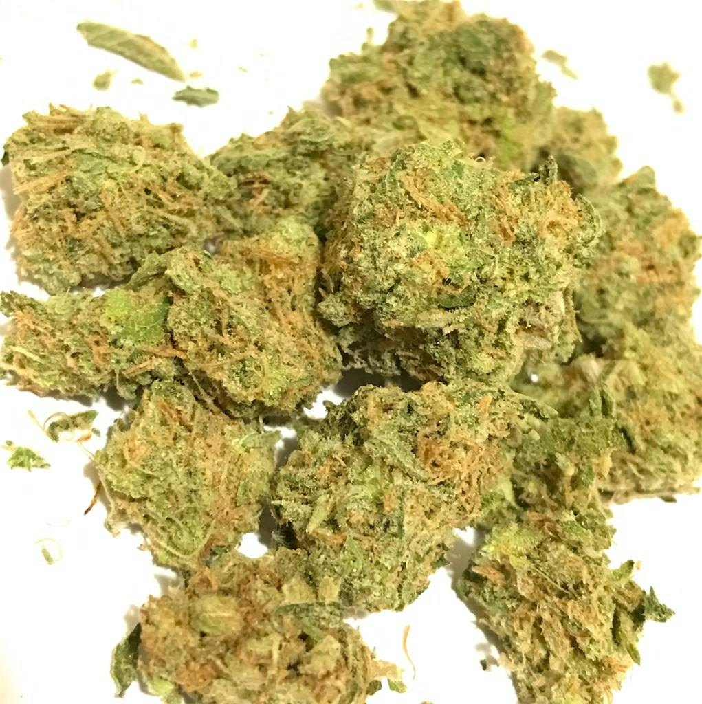 Photos of UK Cheese Weed Strain Buds Leafly