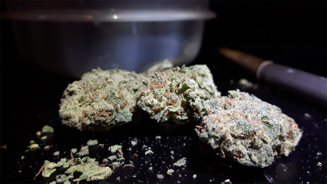 UK Cheese aka Cognitiva Weed Strain Information Leafly