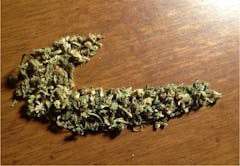 User uploaded image of Ultimate Trainwreck