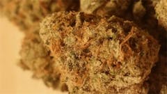 User uploaded image of Ultimate Trainwreck