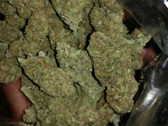 User uploaded image of Ultimate Trainwreck