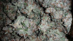 User uploaded image of Ultimate Trainwreck