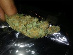 User uploaded image of Ultra Sonja