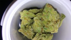 User uploaded image of Ultra Sonja