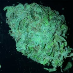 User uploaded image of Ultra Sour
