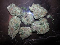 User uploaded image of UltraViolet OG