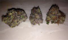 User uploaded image of Urkle Train Haze