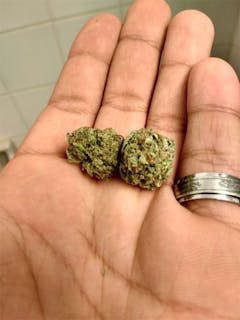 User uploaded image of Urkle Train Haze