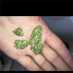 User uploaded image of Valentine X