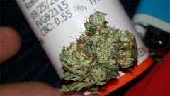 User uploaded image of Valley Girl