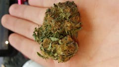 User uploaded image of Valley Girl