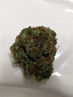 User uploaded image of Velvet Bud