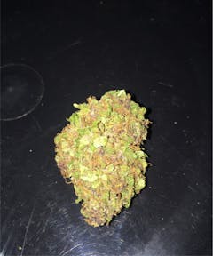 User uploaded image of Velvet Bud