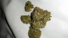 User uploaded image of Venice OG
