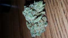 User uploaded image of Venom OG