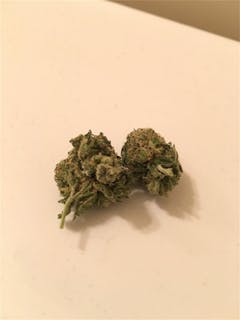 User uploaded image of Venom OG