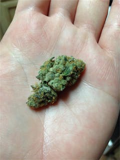 User uploaded image of Verde Electric