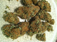 User uploaded image of Very Berry Haze