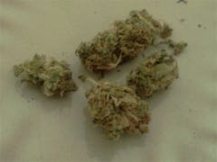 User uploaded image of Very Berry Haze