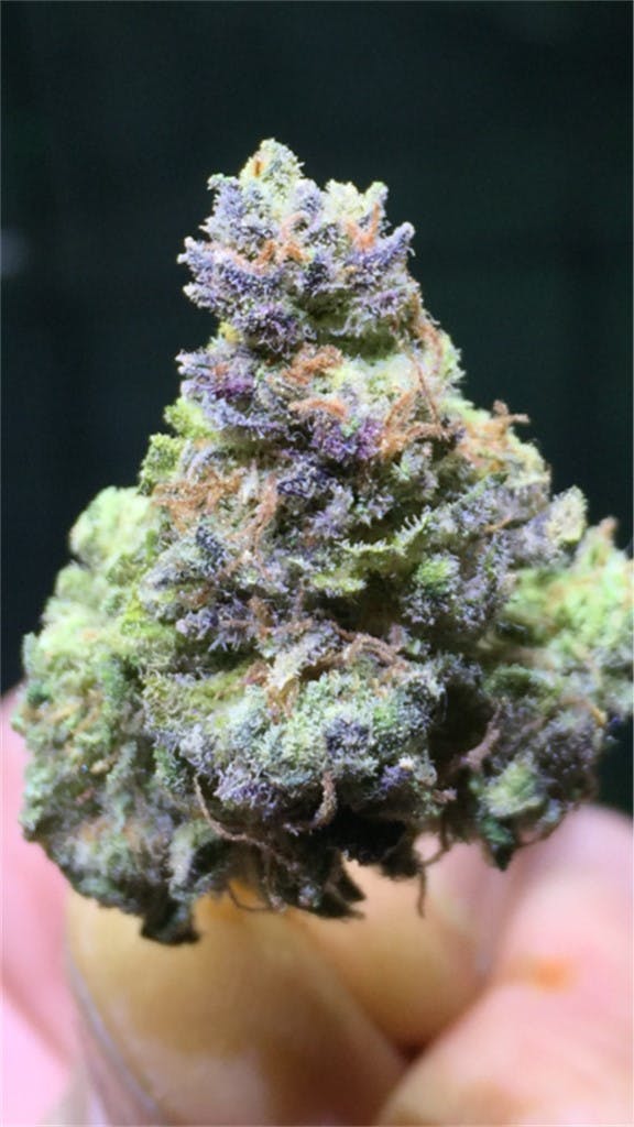 Very Berry Haze Weed Strain Information Leafly