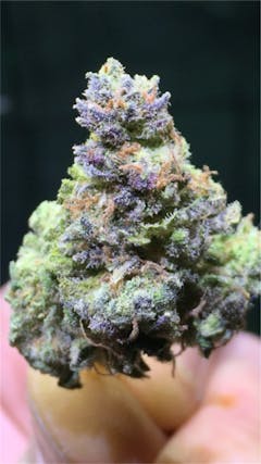 User uploaded image of Very Berry Haze