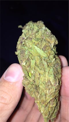User uploaded image of Very Berry Haze