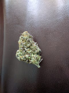 User uploaded image of Violator Kush