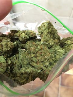 User uploaded image of Violator Kush