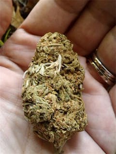 User uploaded image of Viper