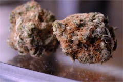 User uploaded image of Vortex