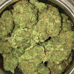 User uploaded image of Vortex