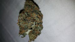 User uploaded image of Vortex