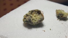 User uploaded image of VOTS AZ Super Sour OG